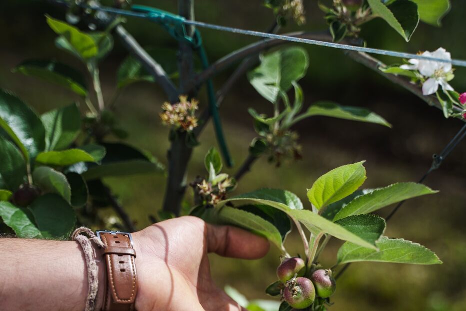 2021-07-27_19_15_05 DSC06470.jpg