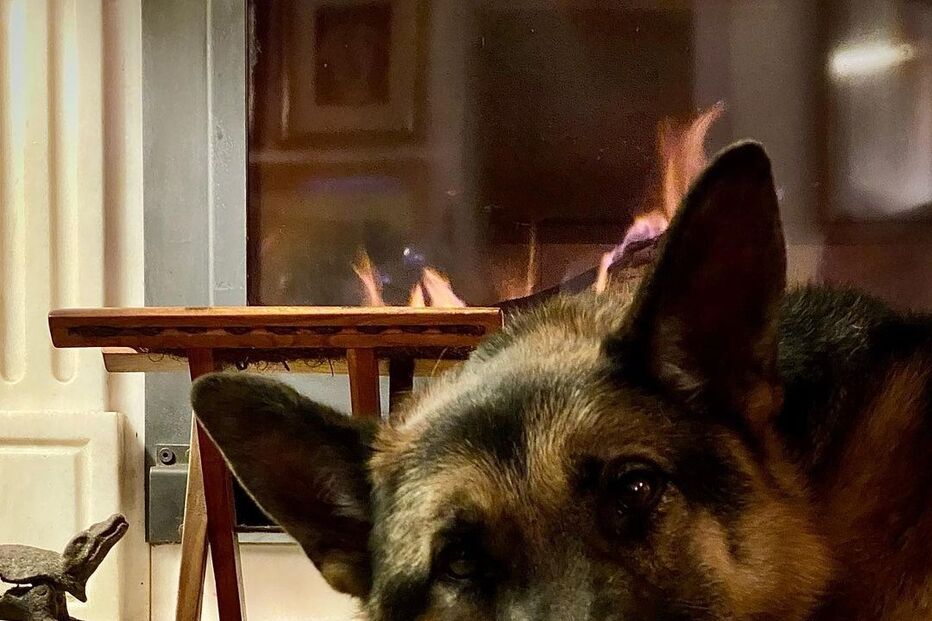 Rogério Samora e a cadela, Roca