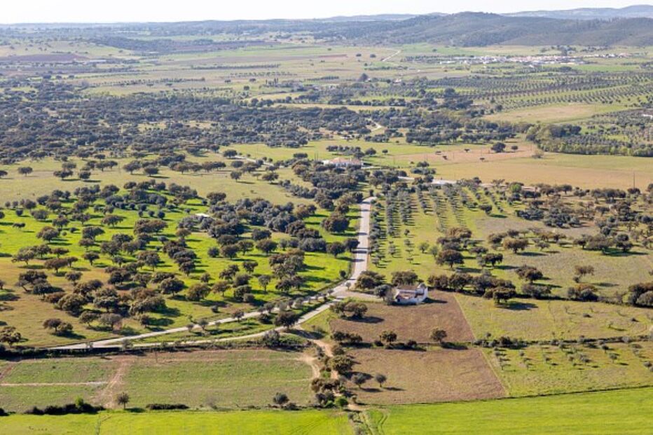  Baixo Alentejo