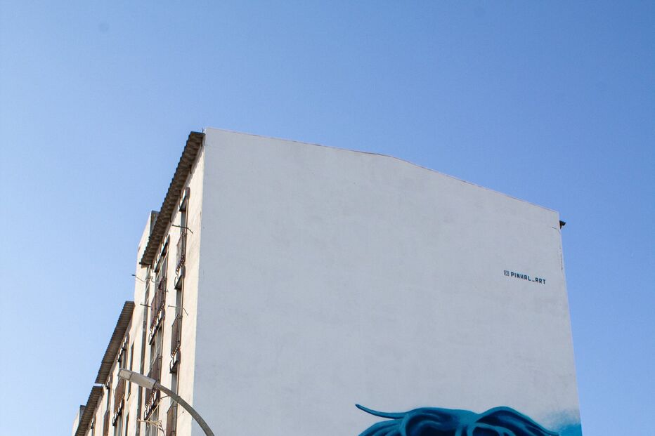 Neemias Queta, o primeiro português na NBA. já foi eternizado num mural de um prédio no Vale da Amoreira