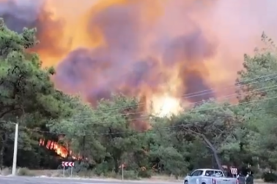 Suspeitas de crime em fogos florestais que lavram na Turquia		
