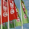 <![CDATA[ Socialistas pedem a Carneiro que suspenda eleições
