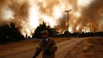 Mais de mil bombeiros combatem incêndios na Grécia