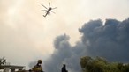 França envia três hidroviões e uma equipa de bombeiros para ajudar Grécia a combater flagelo dos fogos