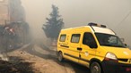 Mais de 60 mortos em incêndios que consomem florestas na Argélia