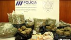 PSP caça dois homens por tráfico de droga no Porto. Apreendidos mais de 105 quilos de estupefacientes