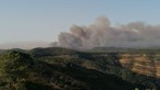 Incêndio em Odemira consumiu área estimada em 1100 hectares
