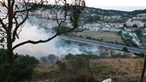 Fogo deflagra em zona de mato perto de casas em Caneças