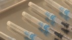 Pfizer pede autorização para vacinar crianças entre os 5 e os 11 anos contra a Covid-19 nos EUA