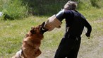 Ataque de cão deixa pai e filho gravemente feridos
