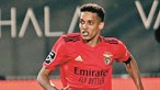 Benfica encaixou 49,5 milhões em vendas neste mercado