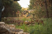 2021-08-02_14_33_57 _MG_9299.JPG