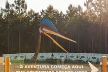 2021-08-02_14_33_58 _MG_9333.JPG