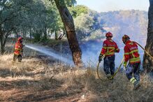 Incêndio consome zona agrícola em Algeruz, Setúbal
