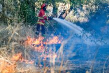 Incêndio consome zona agrícola em Algeruz, Setúbal