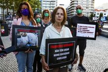 Meia centena de pessoas manifesta-se em Lisboa pelos touros e contra touradas