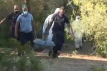 Corpo de homem encontrado em mata no Algarve