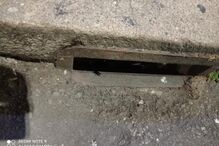 Infestação de baratas em bairro no Porto gera preocupação