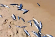 2021-08-21_13_48_07 Capture.PNG