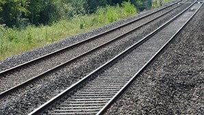 Ferrovia 2020 não é afetado por falta de OE e mantém objetivo de conclusão até 2023, diz Governo