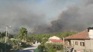 Mais de 200 bombeiros combatem incêndio em Vila Real