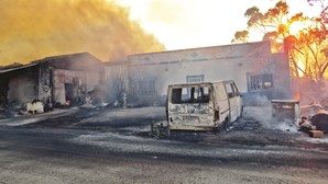 Incêndio leva pânico e destruição à serra em Castro Marim