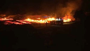 Incêndio destrói fábrica de paletes em Tomar - Vídeos ...