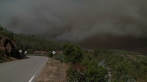 Inferno das chamas: Onda de fogos assombra Sul do País