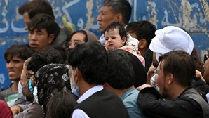 Esmagados até à morte, desidratados e aterrorizados: Afegãos lutam pela sobrevivência no aeroporto de Cabul
