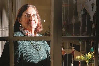 Árvore de grande porte cai em largo na Madeira onde morreram 13 pessoas em 2017 