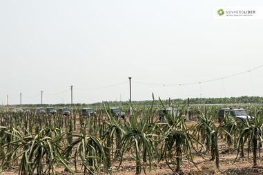Novagrolider, um dos maiores projetos agroindustriais em Angola
