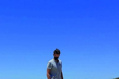 Baleia-anã encontrada morta