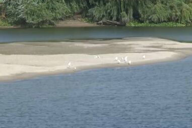 Homem de 28 anos morre após mergulhar no Rio Tejo em Santarém