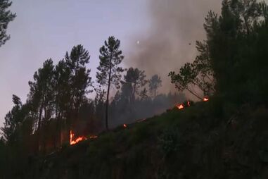 Detida mulher suspeita de atear fogo florestal em Arganil