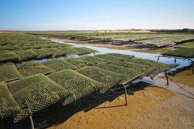 agricultura