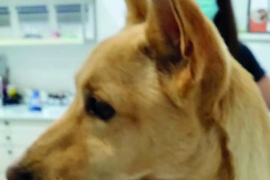 /fotoscm/Fotos/2-40110860 (10830260) (Milenium)