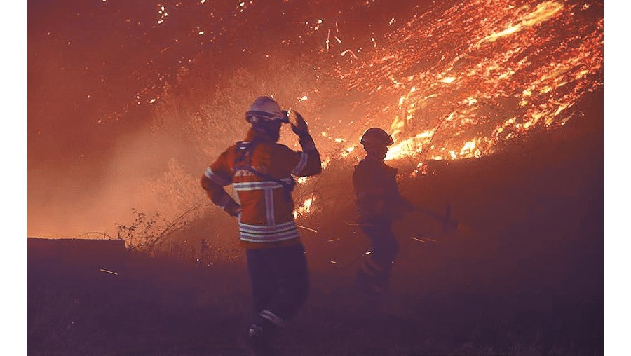 Proteção Civil posicionou meios em zonas de maior risco de incêndio