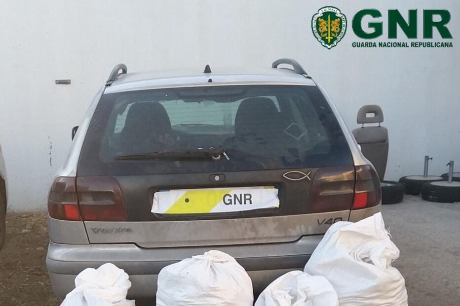 apreensão, autoridades, algarve