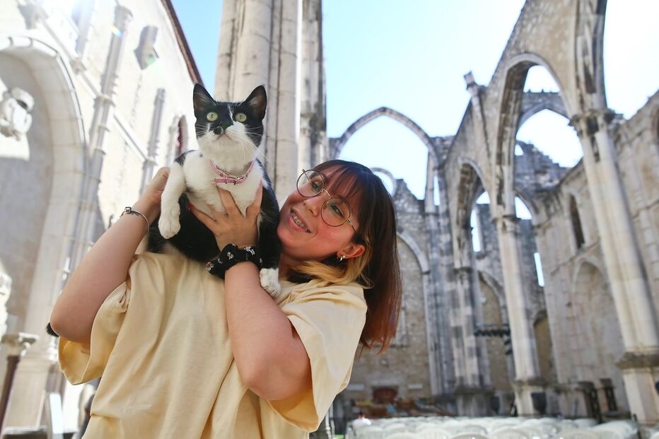 Imagem 39950309.jpg (10715233) (Milenium)