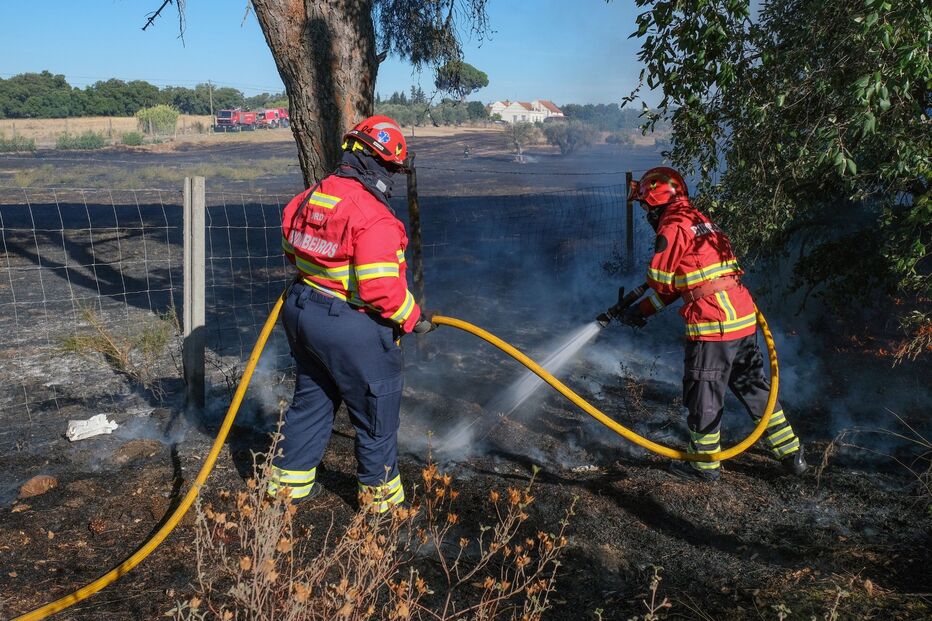 Incêndio consome zona agrícola em Algeruz, Setúbal