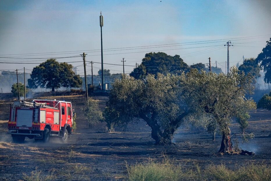 Incêndio consome zona agrícola em Algeruz, Setúbal