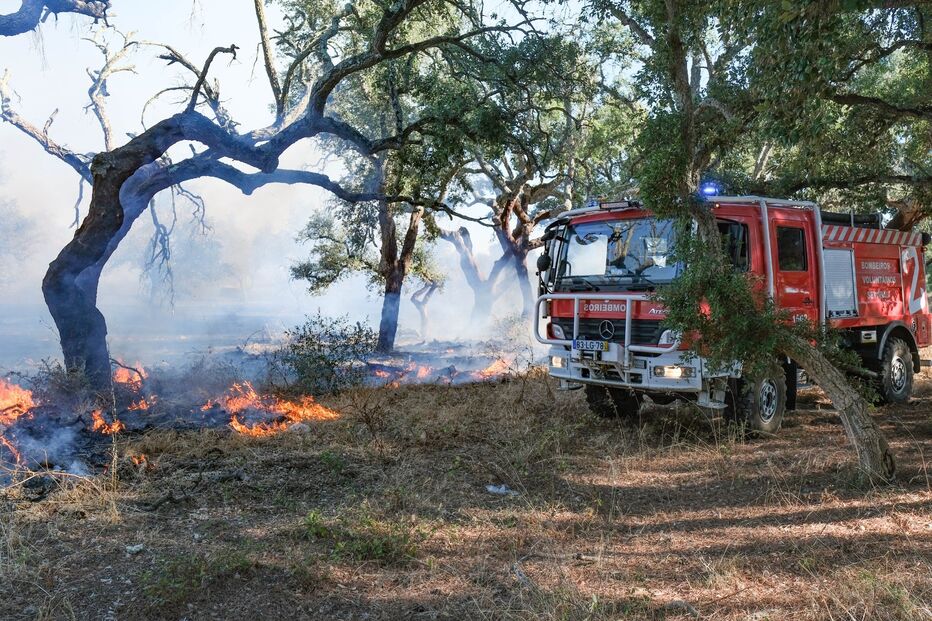 Incêndio consome zona agrícola em Algeruz, Setúbal