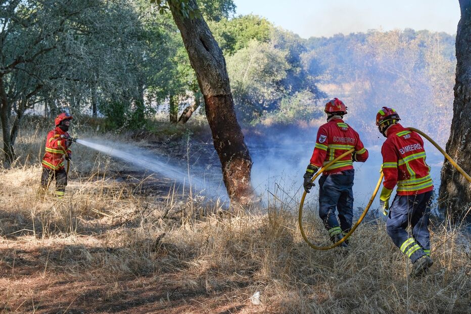 Incêndio consome zona agrícola em Algeruz, Setúbal