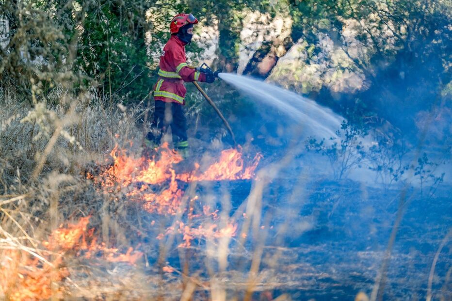 Incêndio consome zona agrícola em Algeruz, Setúbal