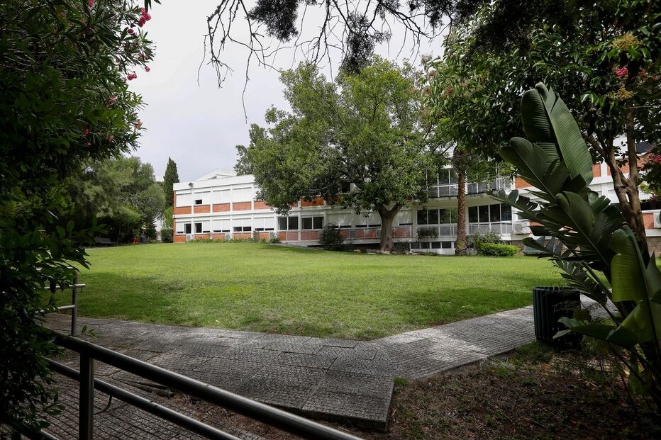 2021-08-05_11_43_38 Essa_39979311.jpg