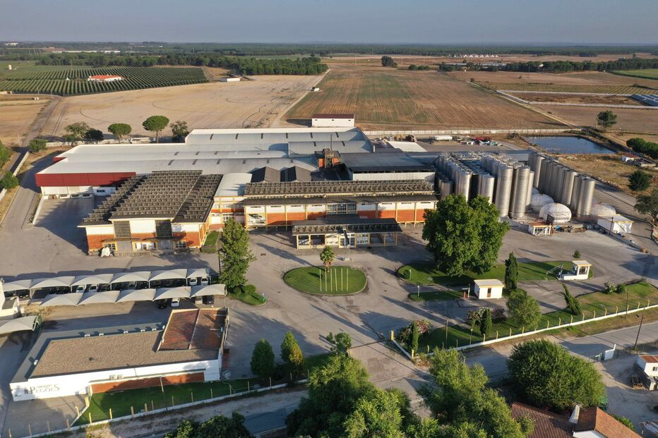 2021-08-06_17_08_39 Foto 4.jpg