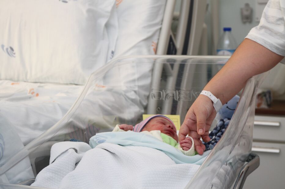 nascimentos, bebés, natalidade