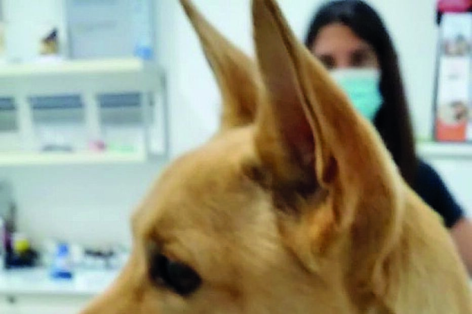 /fotoscm/Fotos/2-40110860 (10830260) (Milenium)