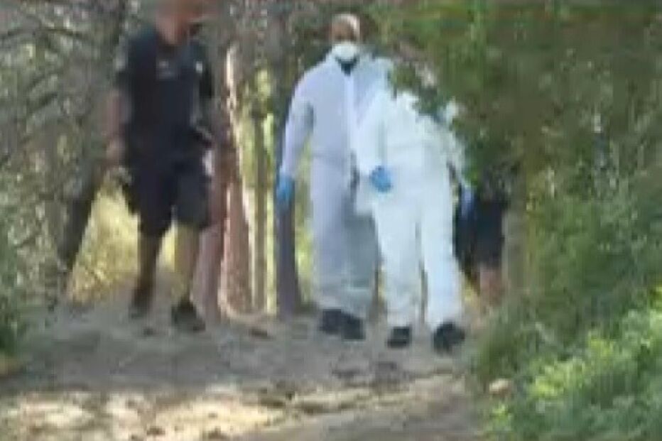 Corpo de homem encontrado em mata no Algarve