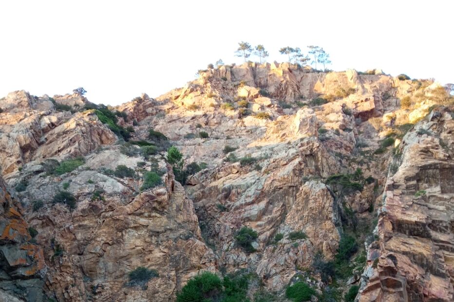 /fotoscm/Fotos/2-40128828 (10852262) (Milenium)